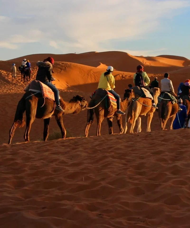 Camel-trek-Caravan-Adventure